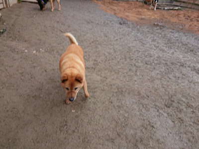 f:id:roukenhome-ann:20190222075027j:plain