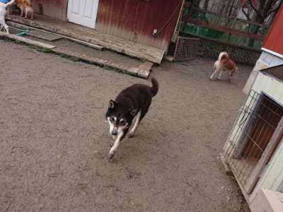 f:id:roukenhome-ann:20190222075045j:plain