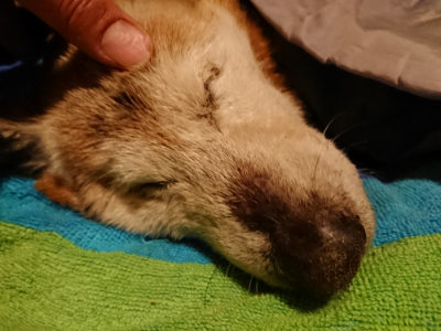 f:id:roukenhome-ann:20190222075051j:plain