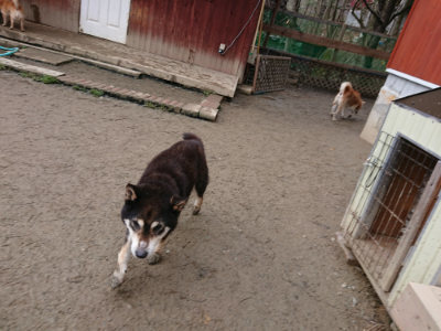 f:id:roukenhome-ann:20190222075108j:plain
