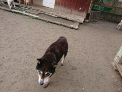 f:id:roukenhome-ann:20190222075114j:plain