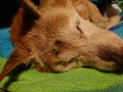 f:id:roukenhome-ann:20190222075127j:plain