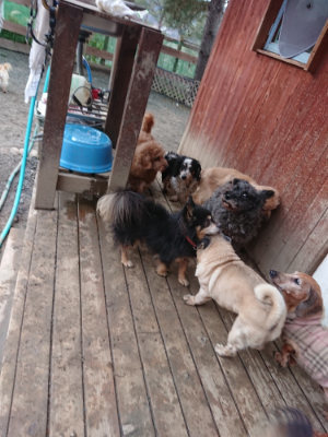 f:id:roukenhome-ann:20190222075153j:plain
