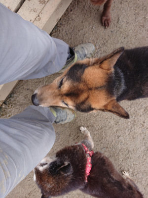 f:id:roukenhome-ann:20190222075159j:plain