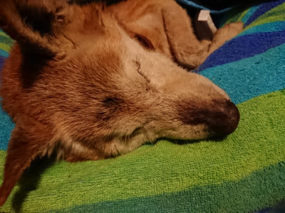 f:id:roukenhome-ann:20190222075205j:plain