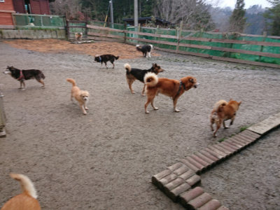 f:id:roukenhome-ann:20190222075335j:plain