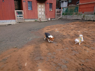 f:id:roukenhome-ann:20190222075339j:plain