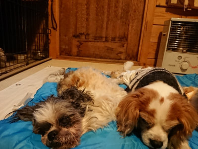 f:id:roukenhome-ann:20190222075344j:plain