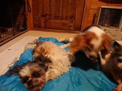 f:id:roukenhome-ann:20190222075400j:plain
