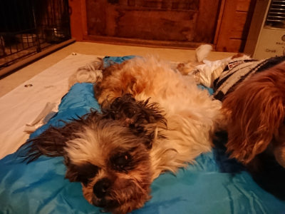 f:id:roukenhome-ann:20190222075406j:plain