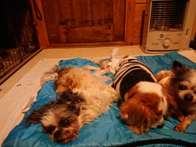 f:id:roukenhome-ann:20190222075411j:plain