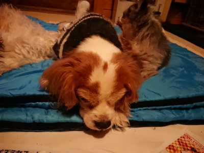 f:id:roukenhome-ann:20190222075436j:plain
