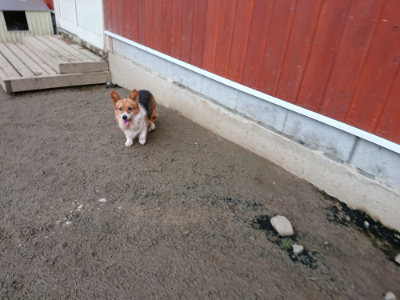 f:id:roukenhome-ann:20190222075453j:plain