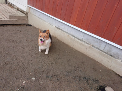 f:id:roukenhome-ann:20190222075459j:plain