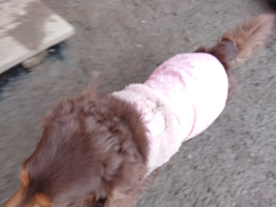 f:id:roukenhome-ann:20190222075509j:plain