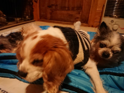 f:id:roukenhome-ann:20190222075521j:plain