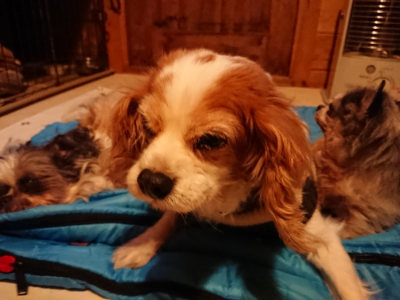 f:id:roukenhome-ann:20190222075526j:plain