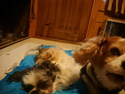 f:id:roukenhome-ann:20190222075531j:plain