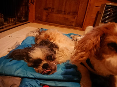 f:id:roukenhome-ann:20190222075537j:plain