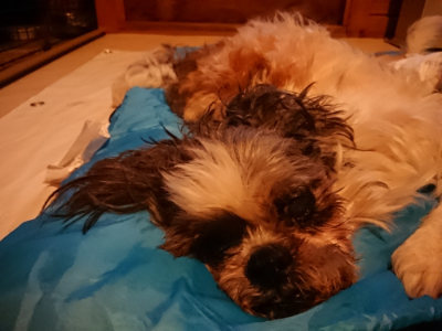 f:id:roukenhome-ann:20190222075542j:plain