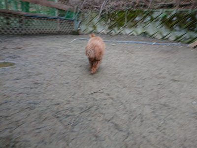 f:id:roukenhome-ann:20190222075552j:plain
