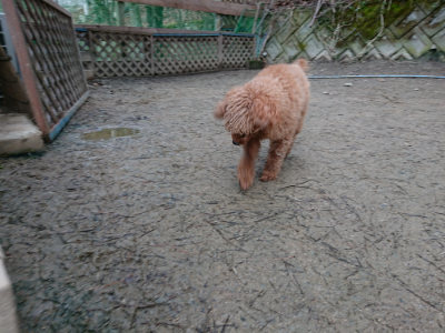 f:id:roukenhome-ann:20190222075558j:plain