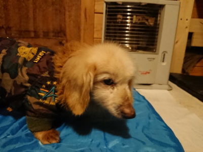 f:id:roukenhome-ann:20190222075604j:plain