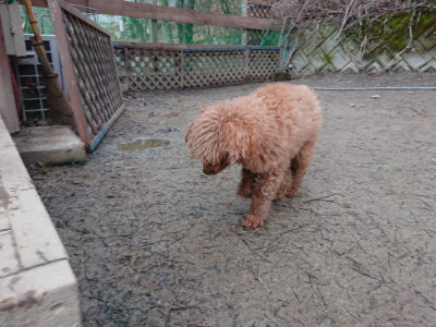 f:id:roukenhome-ann:20190222075610j:plain