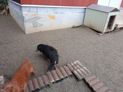 f:id:roukenhome-ann:20190222075650j:plain