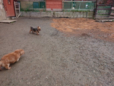 f:id:roukenhome-ann:20190222080557j:plain