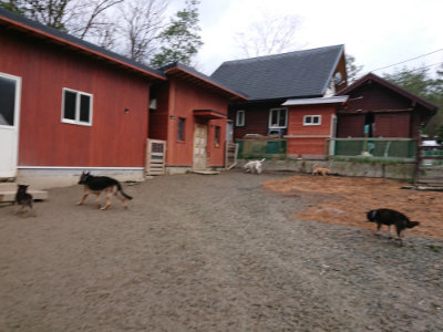 f:id:roukenhome-ann:20190222080603j:plain