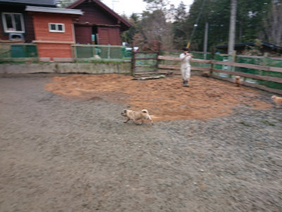 f:id:roukenhome-ann:20190222080609j:plain