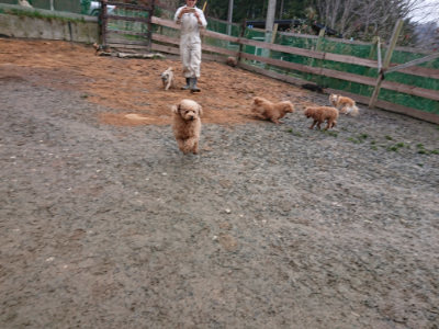 f:id:roukenhome-ann:20190222080642j:plain