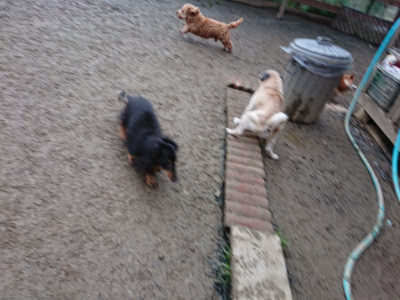 f:id:roukenhome-ann:20190222080704j:plain