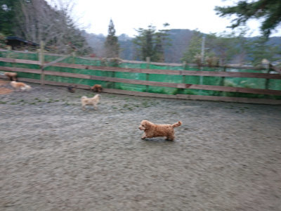 f:id:roukenhome-ann:20190222080721j:plain