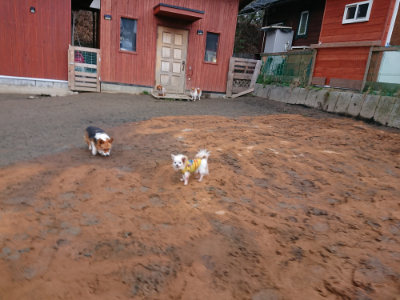 f:id:roukenhome-ann:20190222080732j:plain
