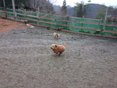 f:id:roukenhome-ann:20190222080737j:plain