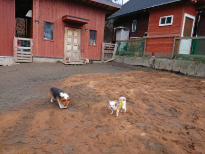 f:id:roukenhome-ann:20190222080748j:plain