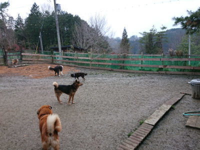 f:id:roukenhome-ann:20190222080801j:plain
