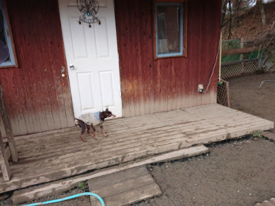 f:id:roukenhome-ann:20190222080806j:plain