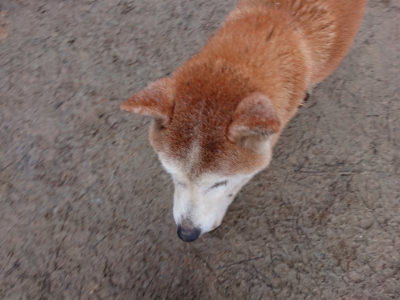 f:id:roukenhome-ann:20190222080819j:plain