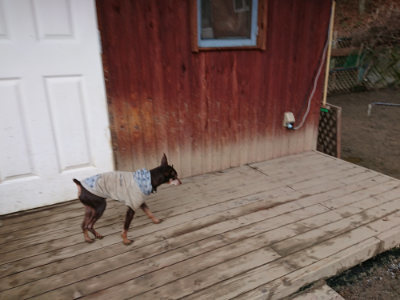 f:id:roukenhome-ann:20190222080832j:plain