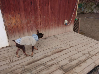 f:id:roukenhome-ann:20190222080837j:plain
