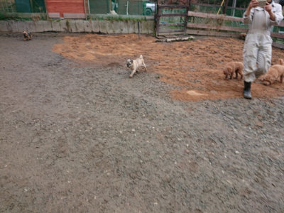 f:id:roukenhome-ann:20190222080843j:plain