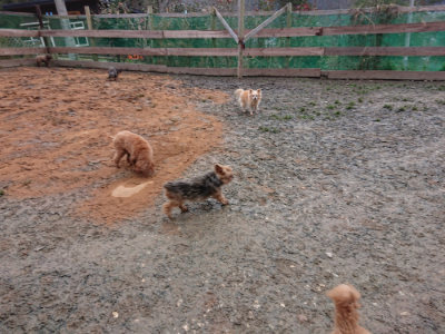 f:id:roukenhome-ann:20190222080856j:plain