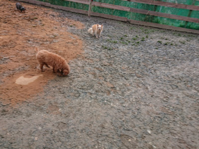 f:id:roukenhome-ann:20190222080929j:plain