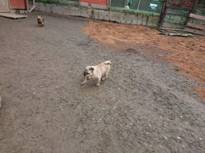 f:id:roukenhome-ann:20190222081005j:plain