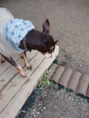 f:id:roukenhome-ann:20190222084926j:plain