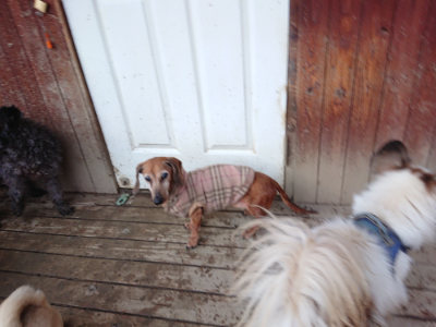 f:id:roukenhome-ann:20190222084944j:plain