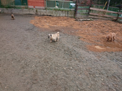 f:id:roukenhome-ann:20190222084954j:plain